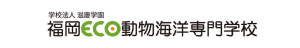 福岡ECO動物海洋専門学校