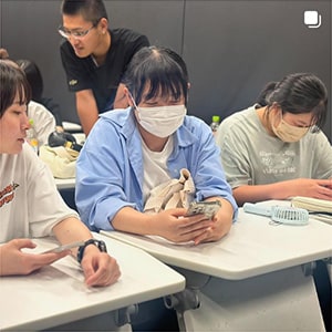 インスタの画像