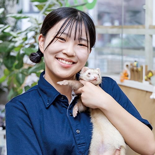 動物園・動物飼育体験のイメージ画像