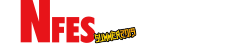 Nfesとは？